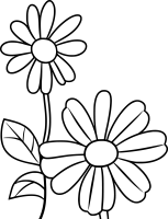 Zeichnung von zwei Kamillenblumen